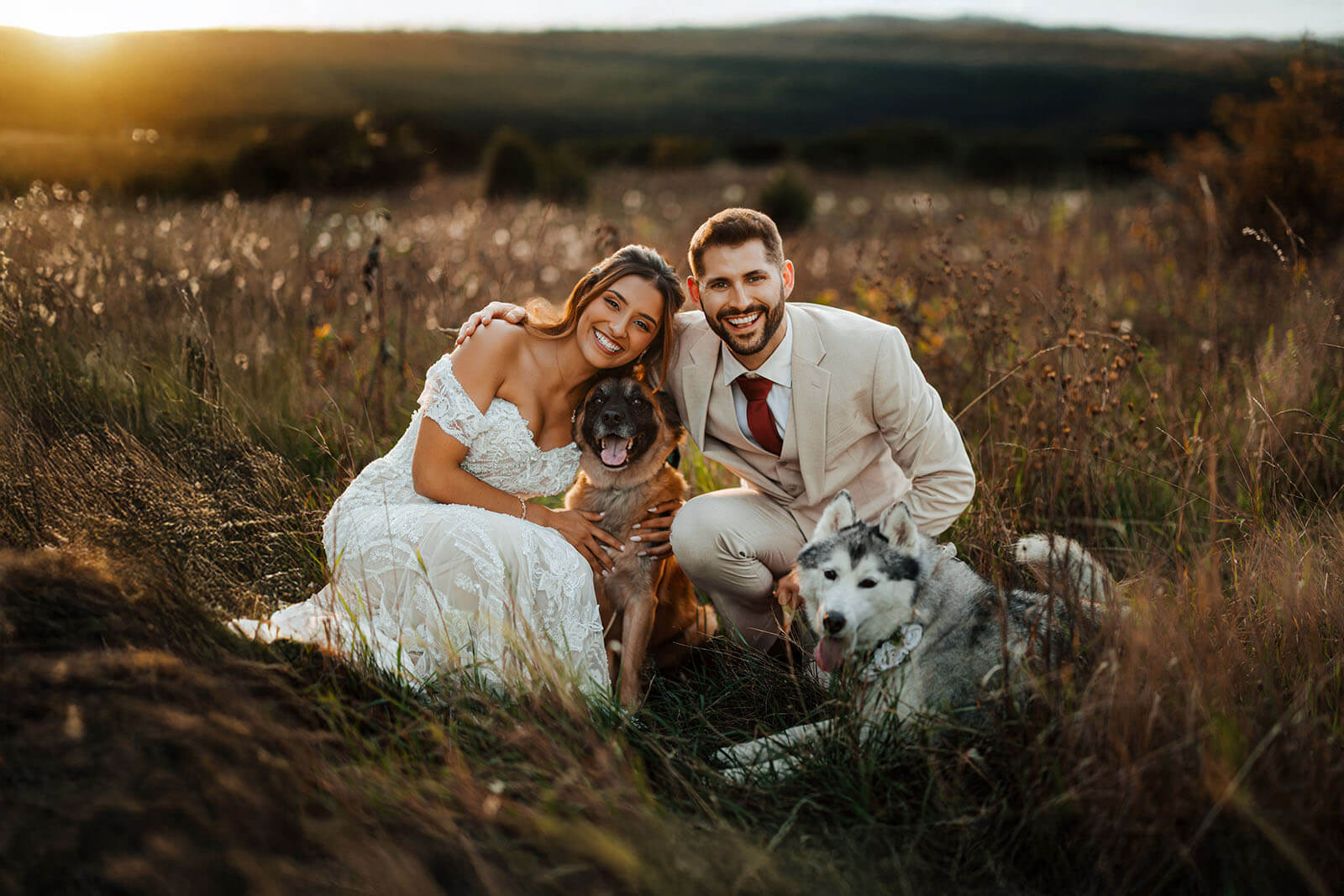 Bride and groom with two dogs in golden sunset field at Woodland Weddings in Crystal Michigan
