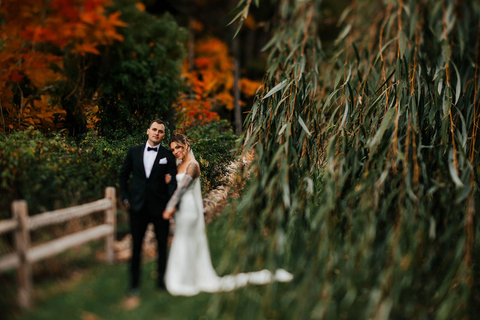 Bride and groom by willow tree with fall foliage at Westers Family Vineyard wedding in Jackson Michigan