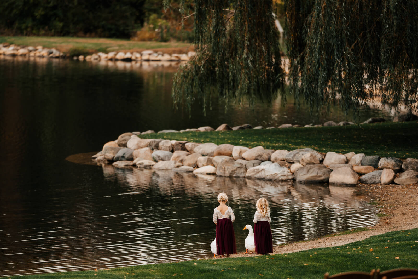 Wide landscape of pond and weeping willow tree at Westers Family Winery Junction Michigan